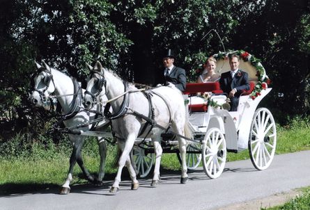 Hochzeiten, Geburtstage